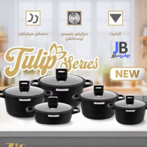 سرویس قابلمه 10 پارچه زیو سری ژولیپ مدل Zio ZCS-8610